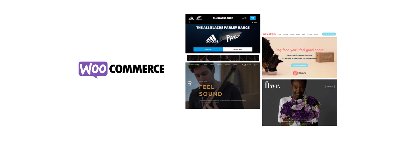 WOOCOMMERCE-1-1.png